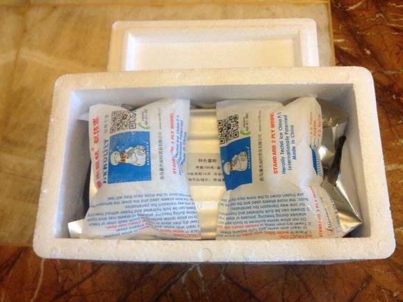 保鮮（xiān）冰袋（dài）