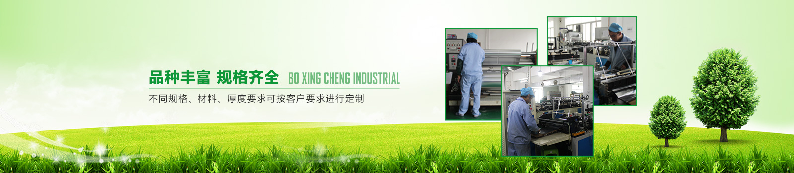 品種豐富，規格齊（qí）全